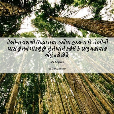 Picture 06 - હઝકિયેલ 2:4 GUJIRV - તેઓના વંશજો ઉદ્ધત - Bible Verse Picture