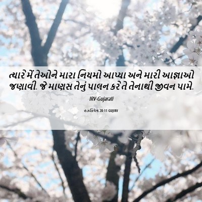 Picture 06 - હઝકિયેલ 20:11 GUJIRV - ત્યારે મેં તેઓને - Bible Verse Picture