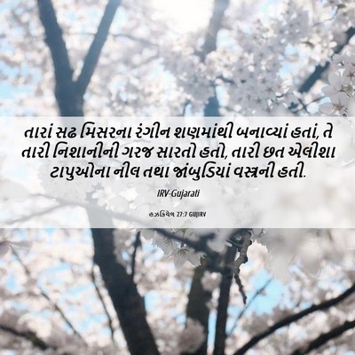 Picture 06 - હઝકિયેલ 27:7 GUJIRV - તારાં સઢ મિસરના - Bible Verse Picture