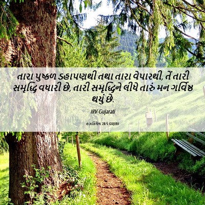Picture 06 - હઝકિયેલ 28:5 GUJIRV - તારા પુષ્કળ - Bible Verse Picture