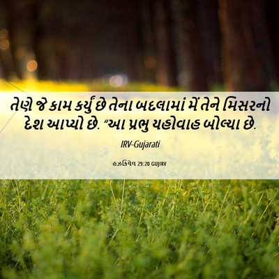 Picture 06 - હઝકિયેલ 29:20 GUJIRV - તેણે જે કામ કર્યું - Bible Verse Picture