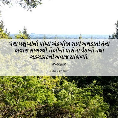 Picture 06 - હઝકિયેલ 3:13 GUJIRV - પેલા પશુઓની પાંખો - Bible Verse Picture