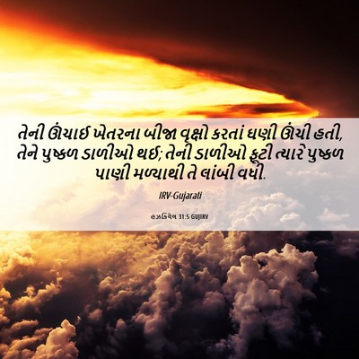 Picture 06 - હઝકિયેલ 31:5 GUJIRV - તેની ઊંચાઈ ખેતરના - Bible Verse Picture