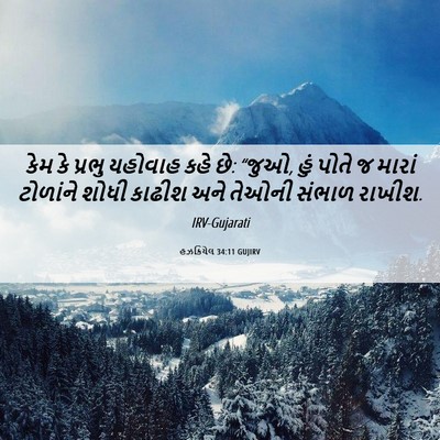 Picture 06 - હઝકિયેલ 34:11 GUJIRV - કેમ કે પ્રભુ - Bible Verse Picture