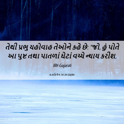 Picture 06 - હઝકિયેલ 34:20 GUJIRV - તેથી પ્રભુ યહોવાહ - Bible Verse Picture