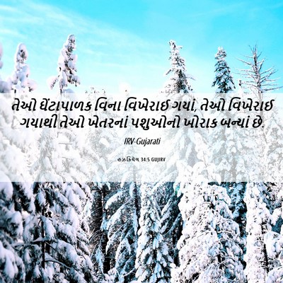Picture 06 - હઝકિયેલ 34:5 GUJIRV - તેઓ ઘેંટાપાળક - Bible Verse Picture