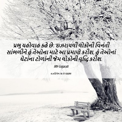 Picture 06 - હઝકિયેલ 36:37 GUJIRV - પ્રભુ યહોવાહ કહે - Bible Verse Picture