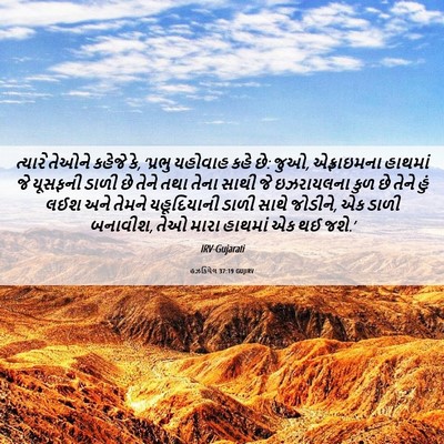 Picture 06 - હઝકિયેલ 37:19 GUJIRV - ત્યારે તેઓને - Bible Verse Picture
