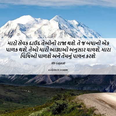 Picture 06 - હઝકિયેલ 37:24 GUJIRV - મારો સેવક દાઉદ - Bible Verse Picture