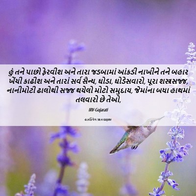 Picture 06 - હઝકિયેલ 38:4 GUJIRV - હું તને પાછો - Bible Verse Picture