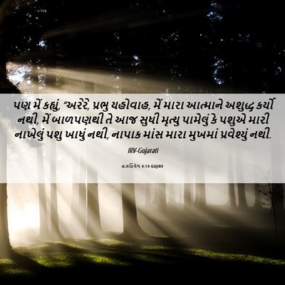 Picture 06 - હઝકિયેલ 4:14 GUJIRV - પણ મેં કહ્યું, - Bible Verse Picture