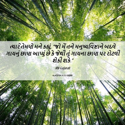 Picture 06 - હઝકિયેલ 4:15 GUJIRV - ત્યારે તેમણે મને - Bible Verse Picture