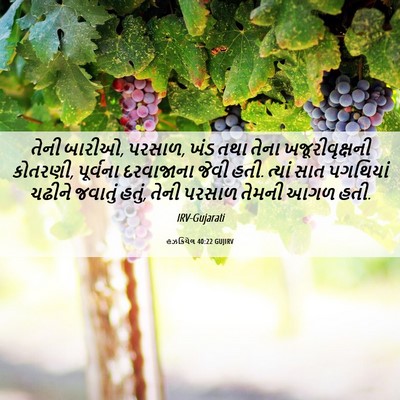 Picture 06 - હઝકિયેલ 40:22 GUJIRV - તેની બારીઓ, પરસાળ, - Bible Verse Picture