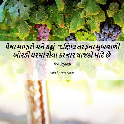 Picture 06 - હઝકિયેલ 40:45 GUJIRV - પેલા માણસે મને - Bible Verse Picture