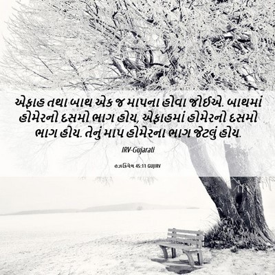 Picture 06 - હઝકિયેલ 45:11 GUJIRV - એફાહ તથા બાથ એક જ - Bible Verse Picture