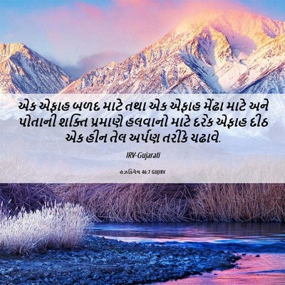 Picture 06 - હઝકિયેલ 46:7 GUJIRV - એક એફાહ બળદ માટે - Bible Verse Picture