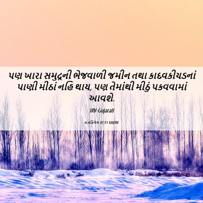 Picture 06 - હઝકિયેલ 47:11 GUJIRV - પણ ખારા સમુદ્રની - Bible Verse Picture