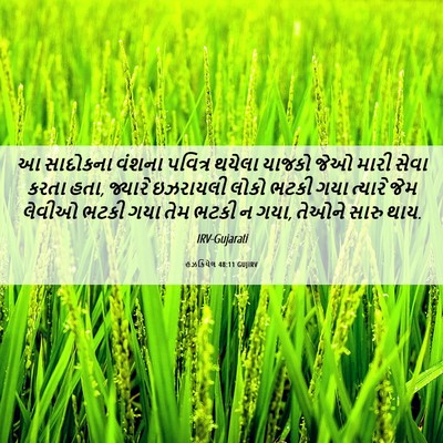 Picture 06 - હઝકિયેલ 48:11 GUJIRV - આ સાદોકના વંશના - Bible Verse Picture