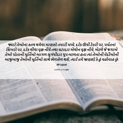 Picture 06 - હઝકિયેલ 6:13 GUJIRV - જ્યારે તેઓના કતલ - Bible Verse Picture