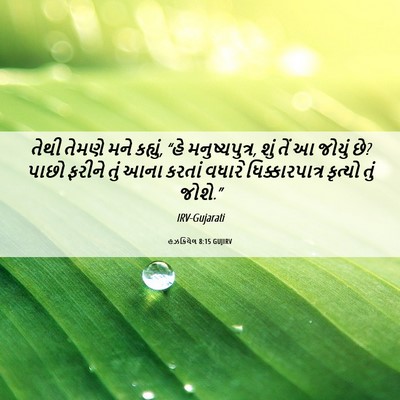 Picture 06 - હઝકિયેલ 8:15 GUJIRV - તેથી તેમણે મને - Bible Verse Picture