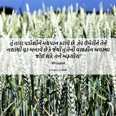 Picture 06 - હબાક્કુક 2:15 GUJIRV - તું તારા પડોશીને - Bible Verse Picture