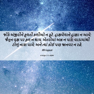 Picture 06 - હબાક્કુક 3:17 GUJIRV - જોકે અંજીરીને - Bible Verse Picture
