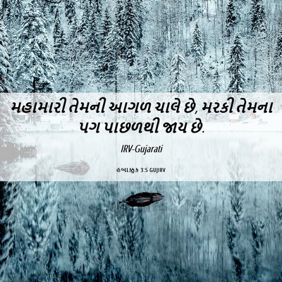 Picture 06 - હબાક્કુક 3:5 GUJIRV - મહામારી તેમની આગળ - Bible Verse Picture