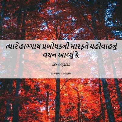 Picture 06 - હાગ્ગાય 1:3 GUJIRV - ત્યારે હાગ્ગાય - Bible Verse Picture