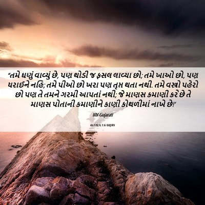 Picture 06 - હાગ્ગાય 1:6 GUJIRV - “તમે ઘણું વાવ્યું - Bible Verse Picture