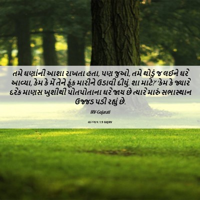 Picture 06 - હાગ્ગાય 1:9 GUJIRV - તમે ઘણાંની આશા - Bible Verse Picture