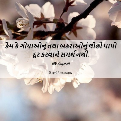 Picture 06 - હિબ્રૂઓને 10:4 GUJIRV - કેમ કે ગોધાઓનું - Bible Verse Picture