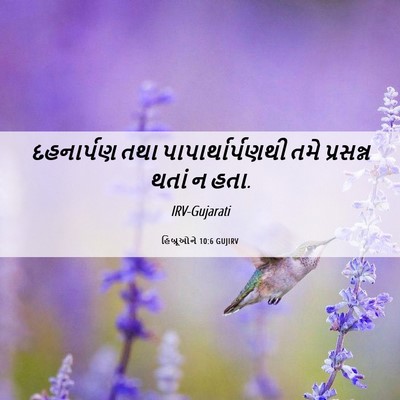 Picture 06 - હિબ્રૂઓને 10:6 GUJIRV - દહનાર્પણ તથા - Bible Verse Picture