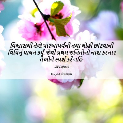 Picture 06 - હિબ્રૂઓને 11:28 GUJIRV - વિશ્વાસથી તેણે - Bible Verse Picture