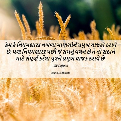 Picture 06 - હિબ્રૂઓને 7:28 GUJIRV - કેમ કે - Bible Verse Picture