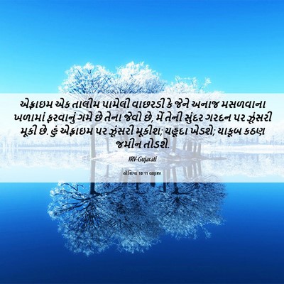 Picture 06 - હોશિયા 10:11 GUJIRV - એફ્રાઇમ એક તાલીમ - Bible Verse Picture
