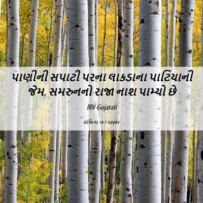 Picture 06 - હોશિયા 10:7 GUJIRV - પાણીની સપાટી પરના - Bible Verse Picture