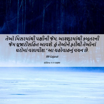 Picture 06 - હોશિયા 11:11 GUJIRV - તેઓ મિસરમાંથી - Bible Verse Picture