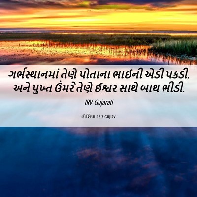 Picture 06 - હોશિયા 12:3 GUJIRV - ગર્ભસ્થાનમાં તેણે - Bible Verse Picture