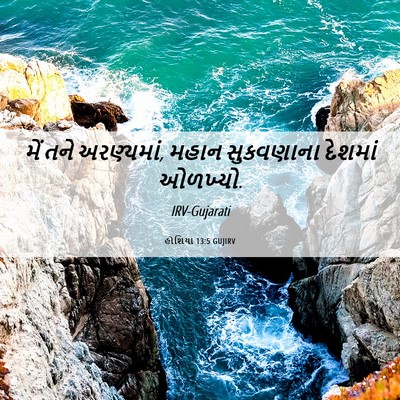 Picture 06 - હોશિયા 13:5 GUJIRV - મેં તને અરણ્યમાં, - Bible Verse Picture