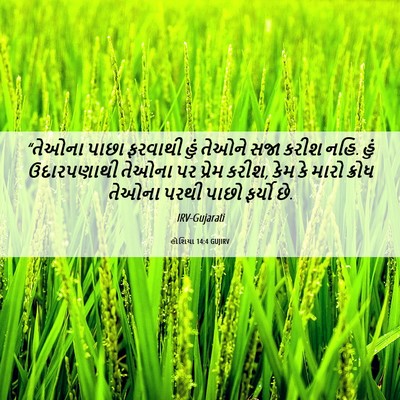 Picture 06 - હોશિયા 14:4 GUJIRV - “તેઓના પાછા - Bible Verse Picture