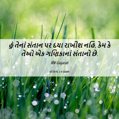 Picture 06 - હોશિયા 2:4 GUJIRV - હું તેનાં સંતાન પર - Bible Verse Picture