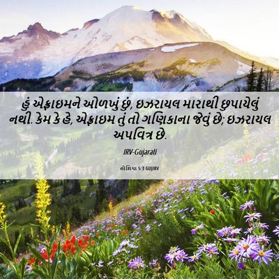 Picture 06 - હોશિયા 5:3 GUJIRV - હું એફ્રાઇમને - Bible Verse Picture