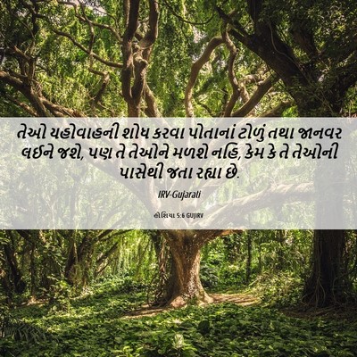 Picture 06 - હોશિયા 5:6 GUJIRV - તેઓ યહોવાહની શોધ - Bible Verse Picture