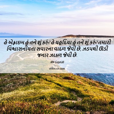 Picture 06 - હોશિયા 6:4 GUJIRV - હે એફ્રાઇમ હું તને - Bible Verse Picture