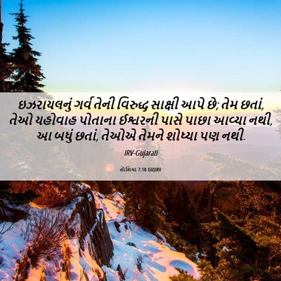 Picture 06 - હોશિયા 7:10 GUJIRV - ઇઝરાયલનું ગર્વ - Bible Verse Picture