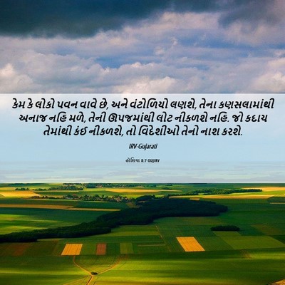 Picture 06 - હોશિયા 8:7 GUJIRV - કેમ કે લોકો પવન - Bible Verse Picture