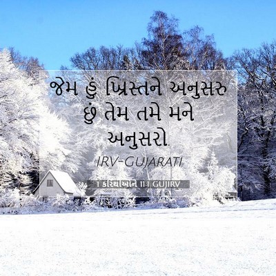 Picture 07 - 1 કરિંથીઓને 11:1 GUJIRV - જેમ હું ખ્રિસ્તને - Bible Verse Picture
