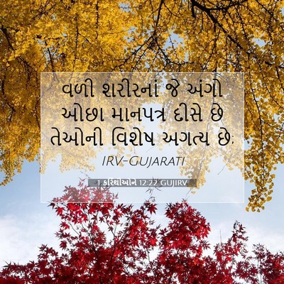 Picture 07 - 1 કરિંથીઓને 12:22 GUJIRV - વળી શરીરનાં જે - Bible Verse Picture