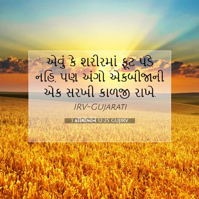 Picture 07 - 1 કરિંથીઓને 12:25 GUJIRV - એવું કે શરીરમાં - Bible Verse Picture