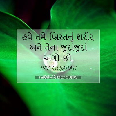 Picture 07 - 1 કરિંથીઓને 12:27 GUJIRV - હવે તમે - Bible Verse Picture